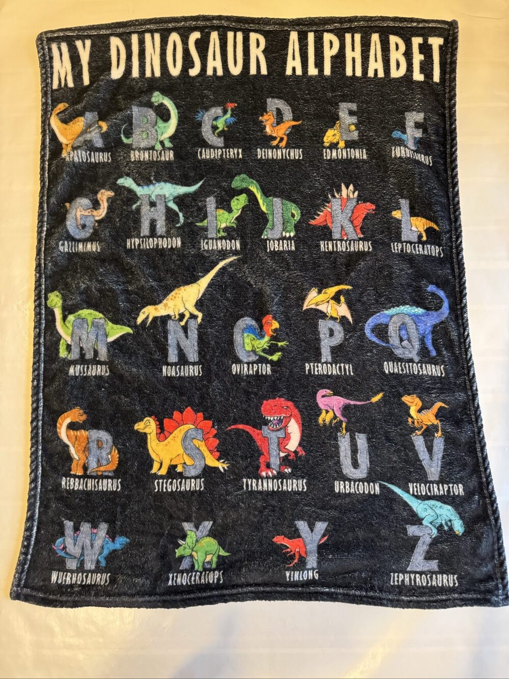 My Dinosaur Alphabet Kids Black Educational Plush Blanket 30in x 23in